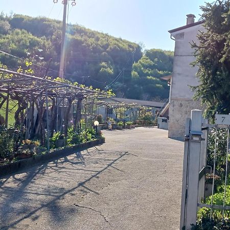 La Torretta - Incantevole Appartamento Nei Colli Berici Nanto Extérieur photo