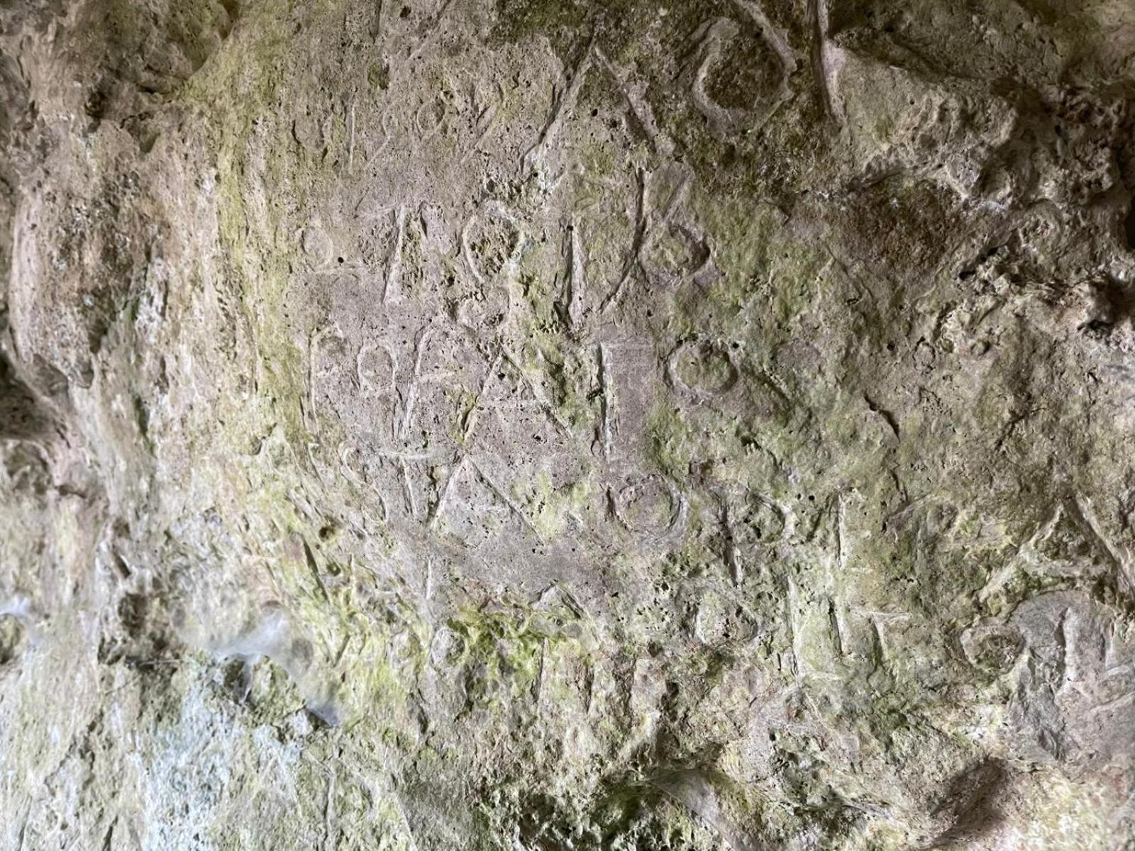 La Torretta - Incantevole Appartamento Nei Colli Berici Nanto Extérieur photo