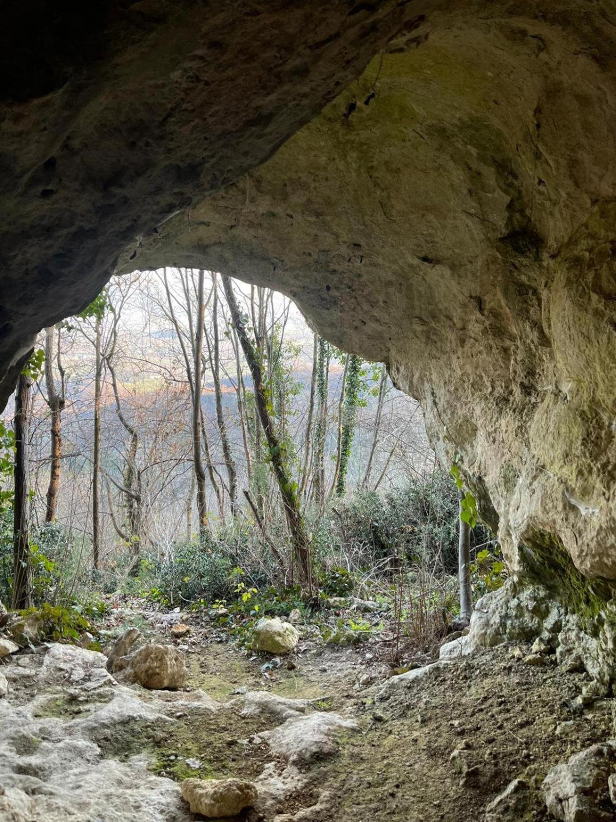 La Torretta - Incantevole Appartamento Nei Colli Berici Nanto Extérieur photo