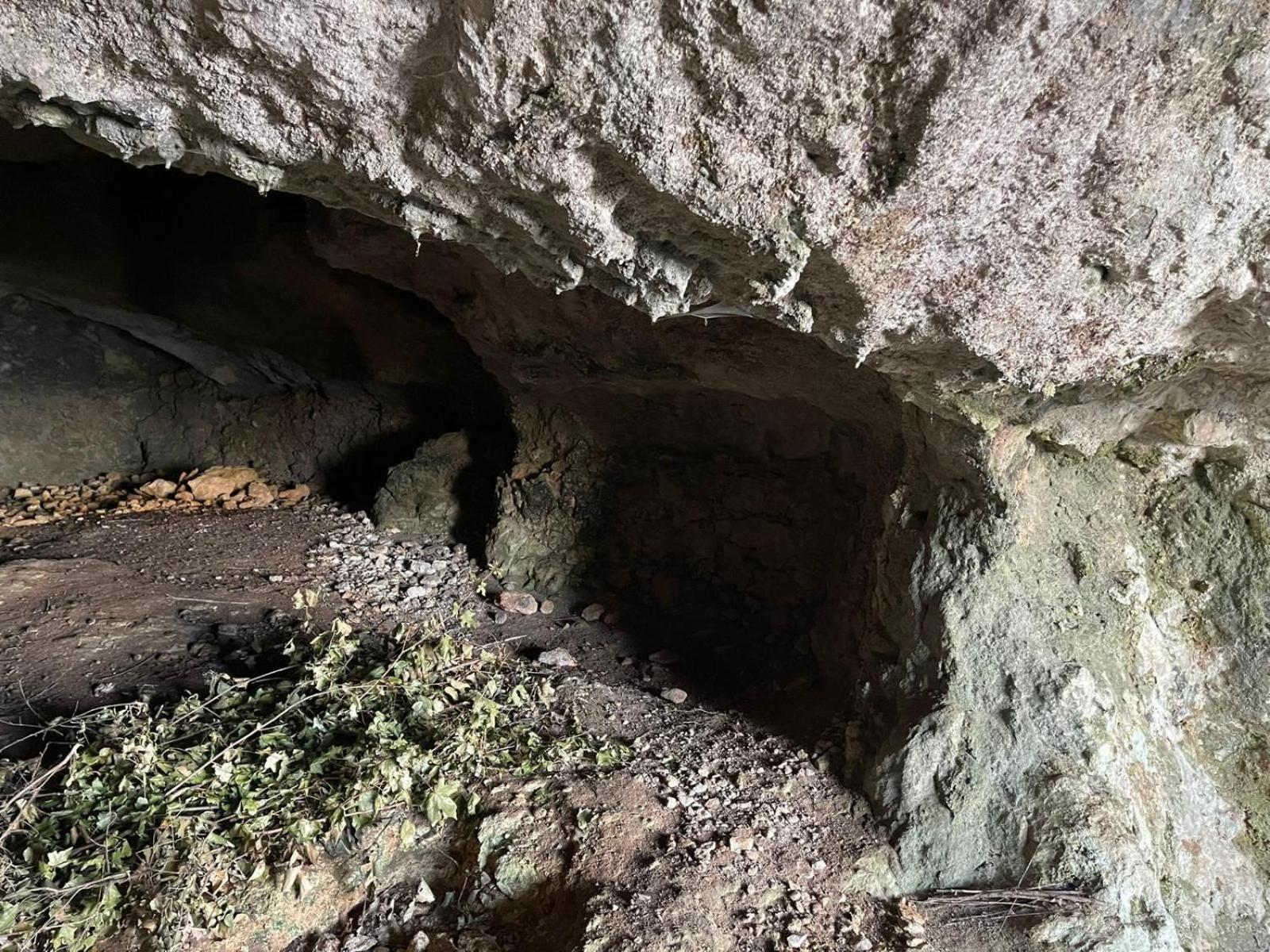 La Torretta - Incantevole Appartamento Nei Colli Berici Nanto Extérieur photo