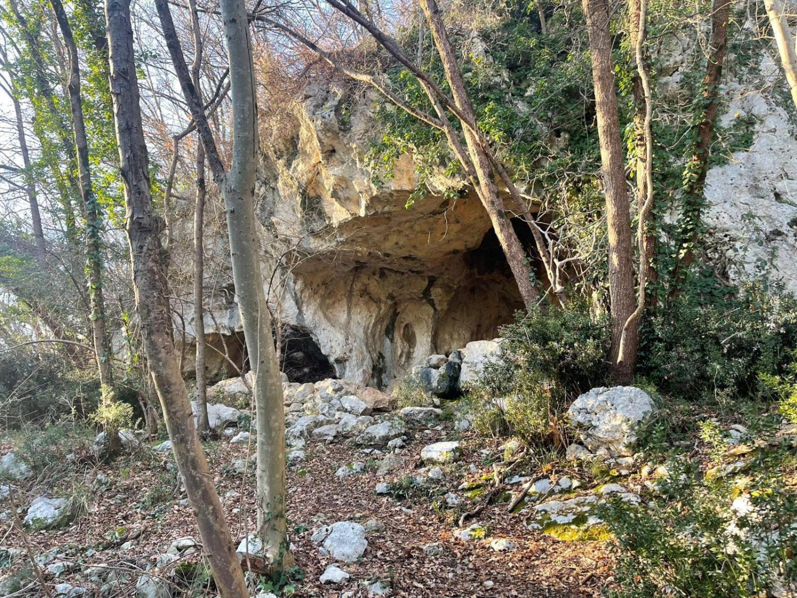 La Torretta - Incantevole Appartamento Nei Colli Berici Nanto Extérieur photo